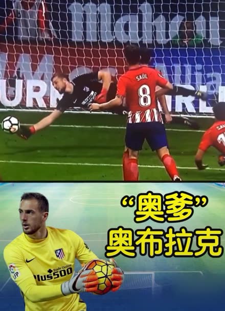 张维维不仅