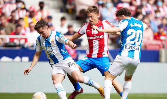 以及各自的 以及各自的