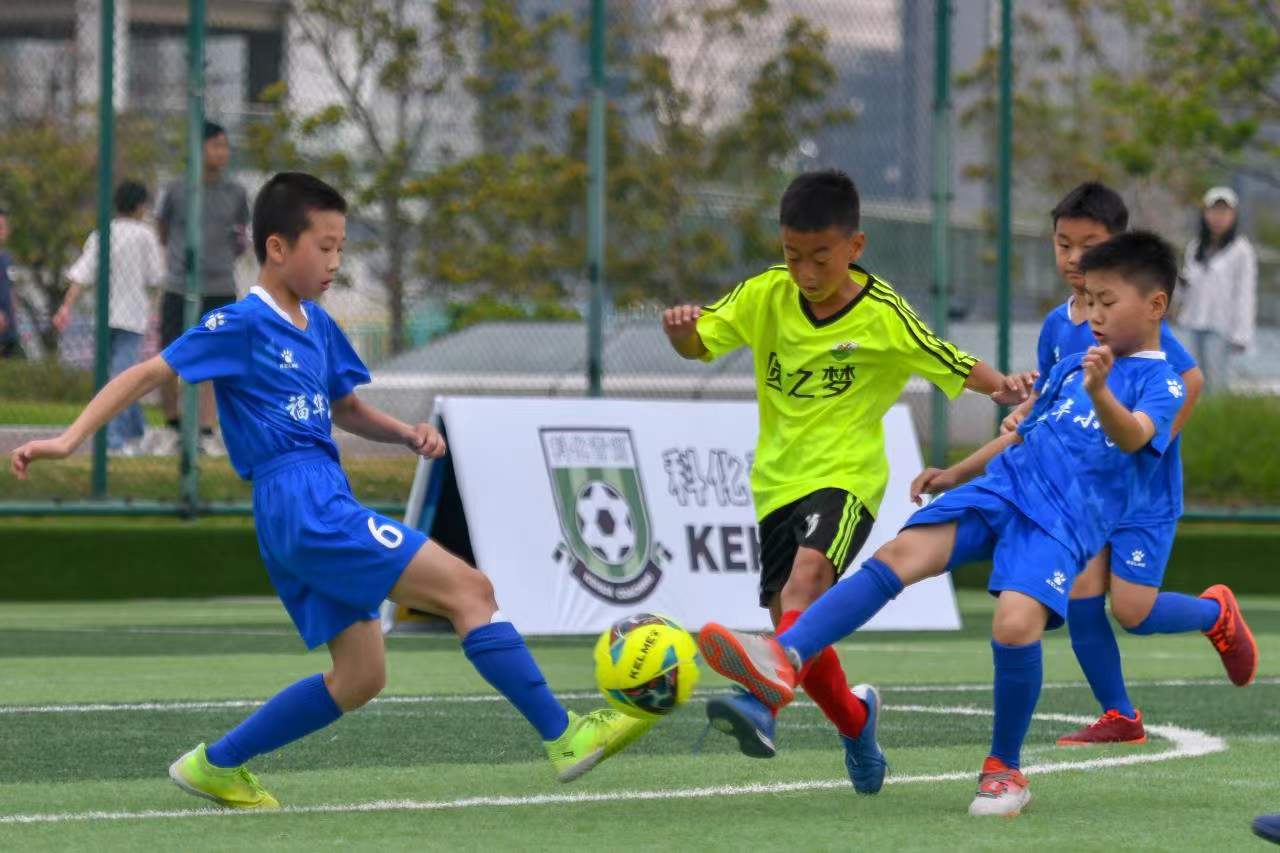 成为本届选 成为本届选