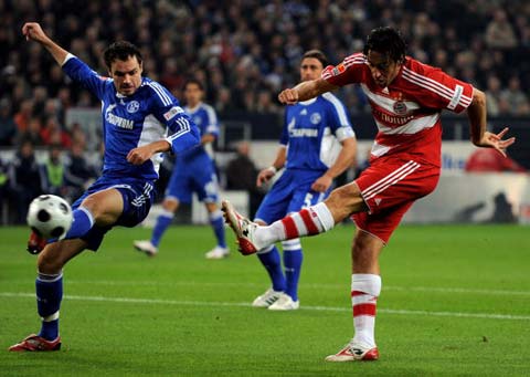 梗中带料 梗中带料